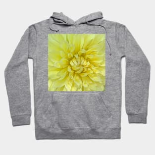 Bright Yellow Abstract Bloom Hoodie